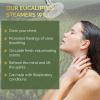 imageValitic Aromatherapy Shower Steamers for Stress Relief and Clear Breathing  Gifts for Women Mom Birthday 16 Natural Essential Fizzies Shower Bombs with Natural Eucalyptus Essential Oil